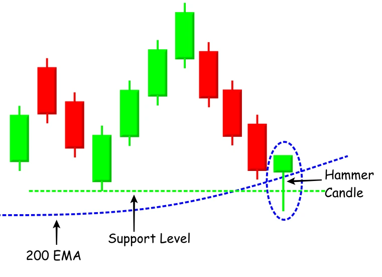 Hammer candle at support level